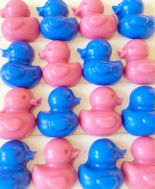 Little Ducky Wax Melts